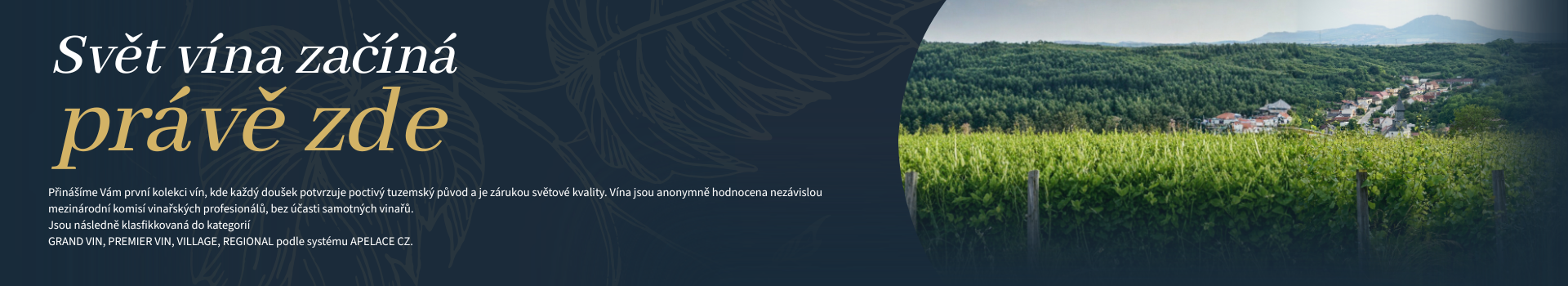 Svět vína začíná právě zde (2)